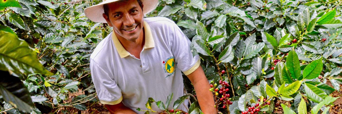 Proč nakupovat fairtradovou kávu