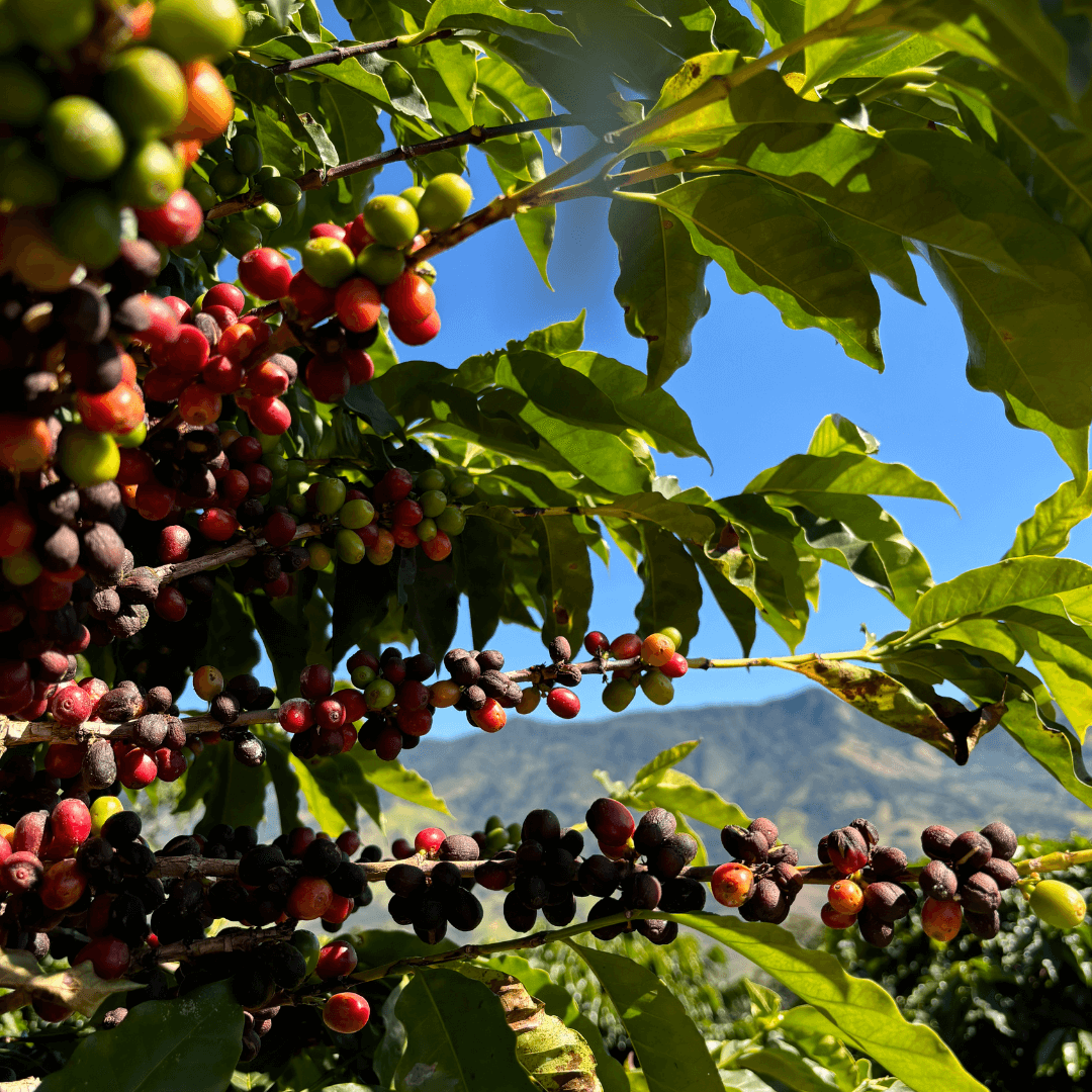 Návrh bez názvu (17)