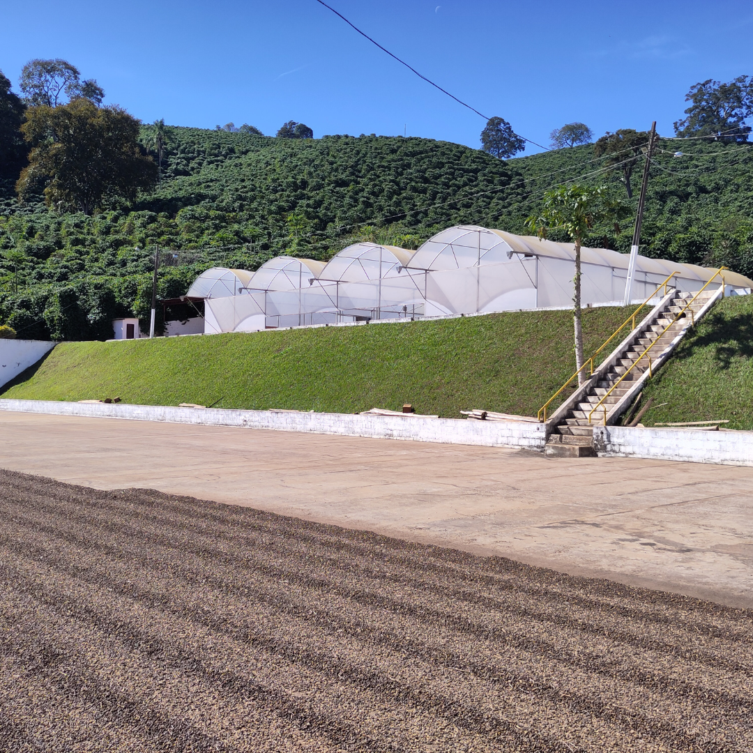 Návrh bez názvu (21)