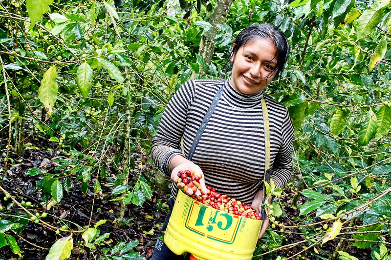 50883251953_f62442155a_c