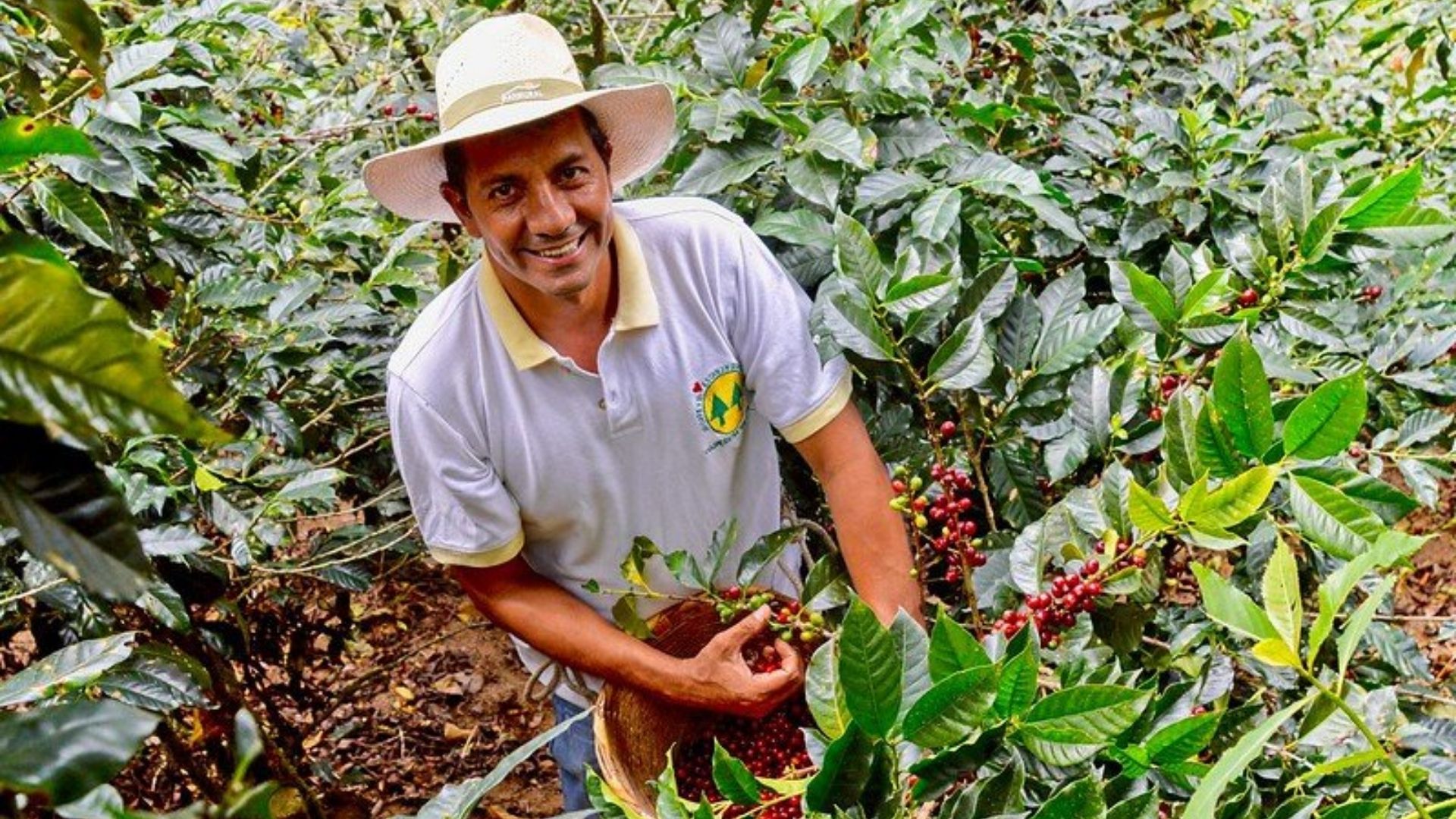 pestitel fairtradove kavy