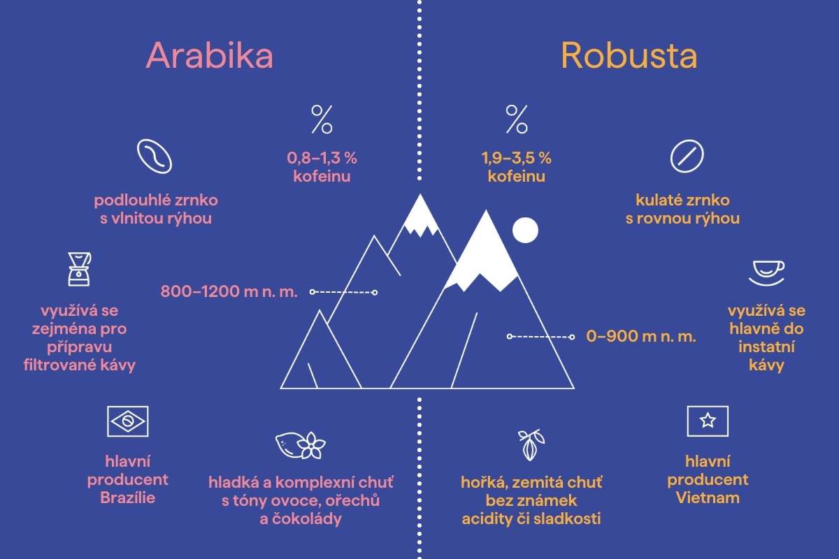 Infografika Arabika vs Robusta (1)