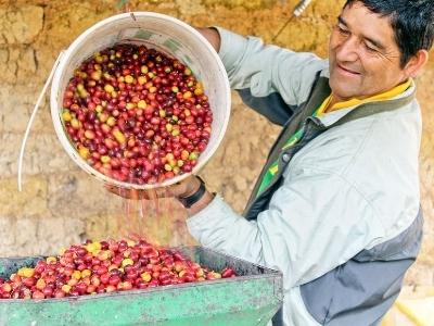 pestitel_kavy_fairtrade_2