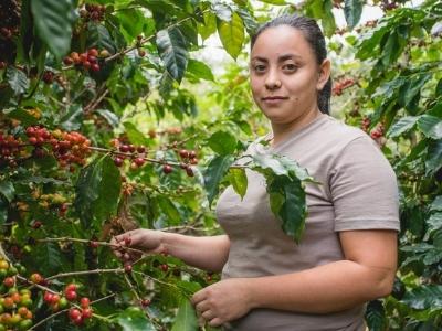 fairtradovípestitelekavy