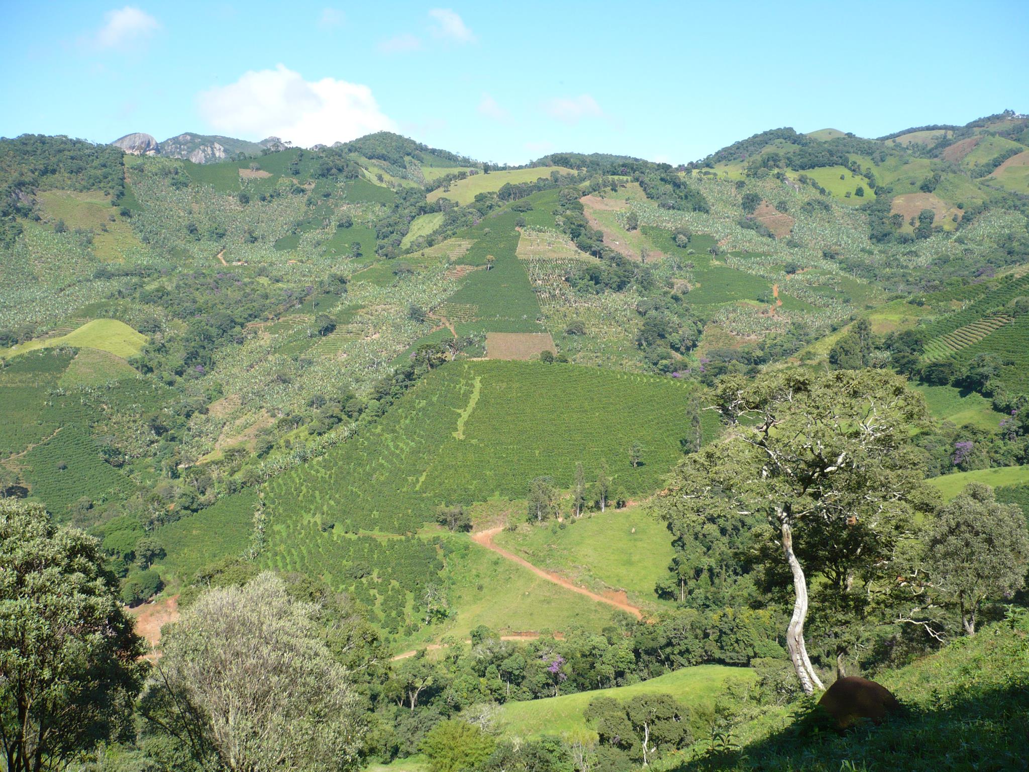 17620360_1495669597151558_6655815830840799_o