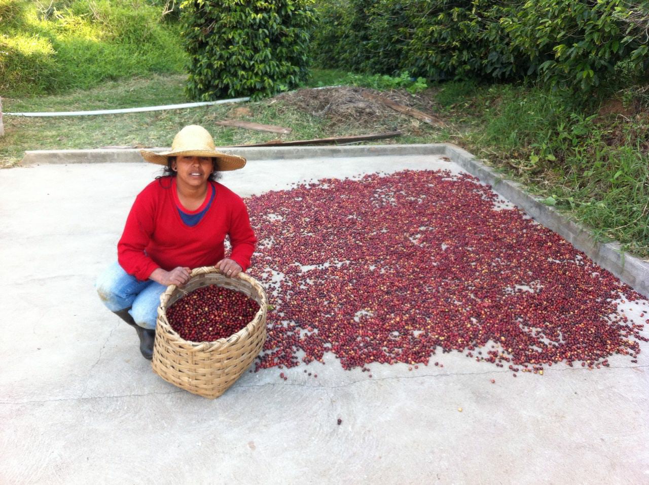 19243220_1584246871627163_5928993969580735578_o