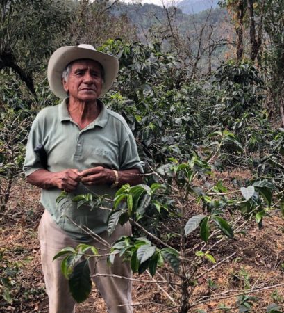 Guatemala-Guayab-Feliciano-Silvestre-copy-min-e1541606786377-409x450