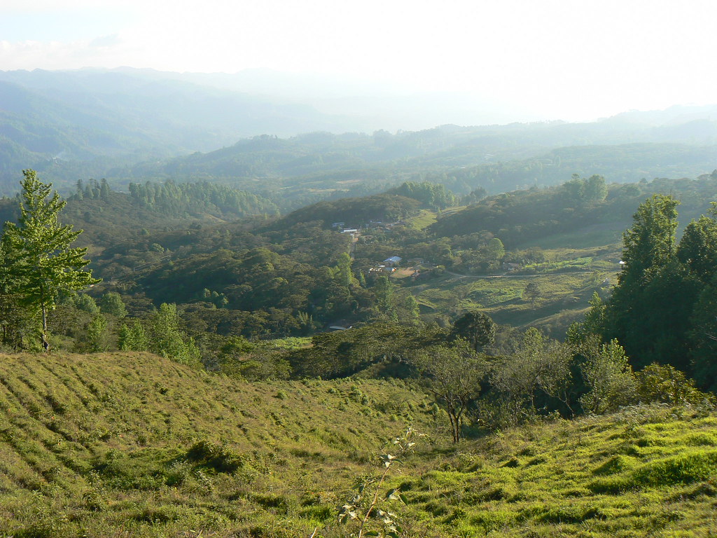 Espresso Special Honduras Las Capucas Bio Fairtrade5