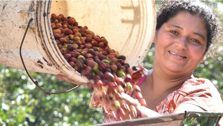 Pestitelky Pestitelka Asociace Aldea Global3_Fair&Bio prazirna